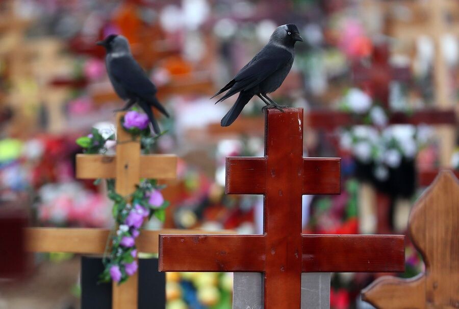     / Источник: © Владимир Смирнов/ТАСС