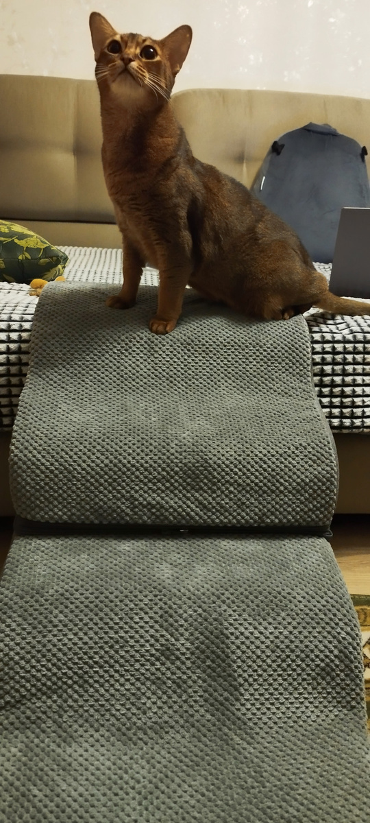 царь (царица) горы!