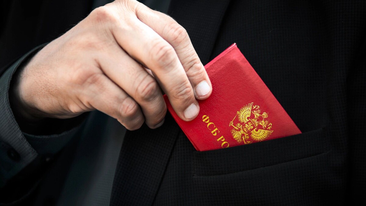    Фото: Melnikov Dmitriy/Shutterstock/Fotodom