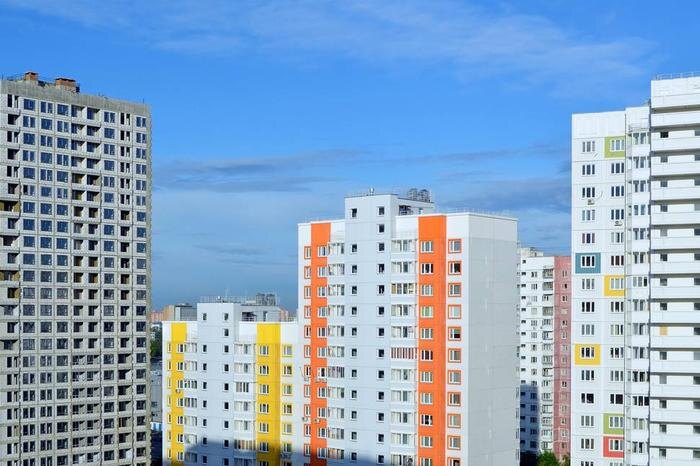 Обложка © Shutterstock / FOTODOM / Alexander Zamaraev