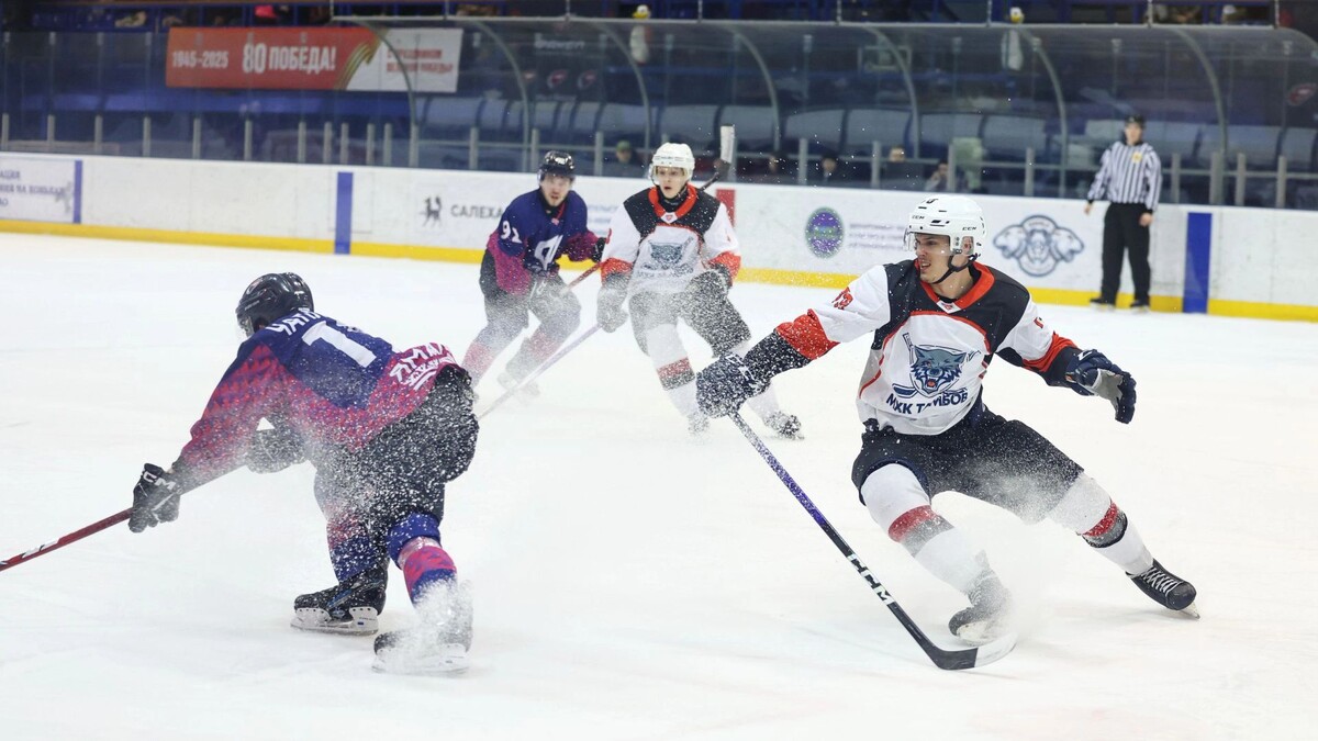    Фото: Андрей Ткачев / «Ямал-Медиа»