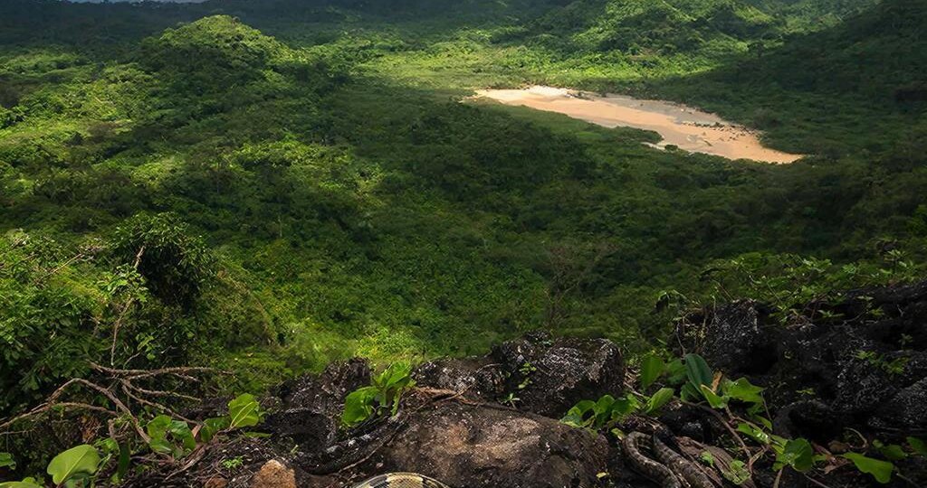 Остров Кеймада-Гранди: Запретный рай Земли