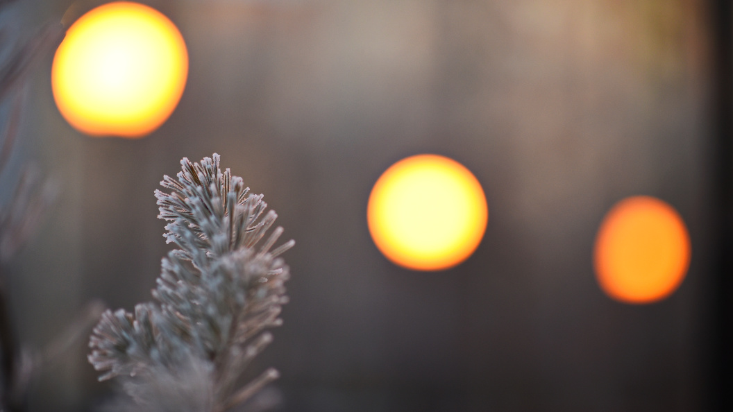    фото: Царьград