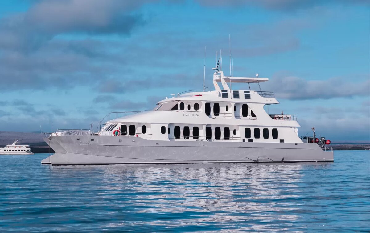 Катамаран ALYA