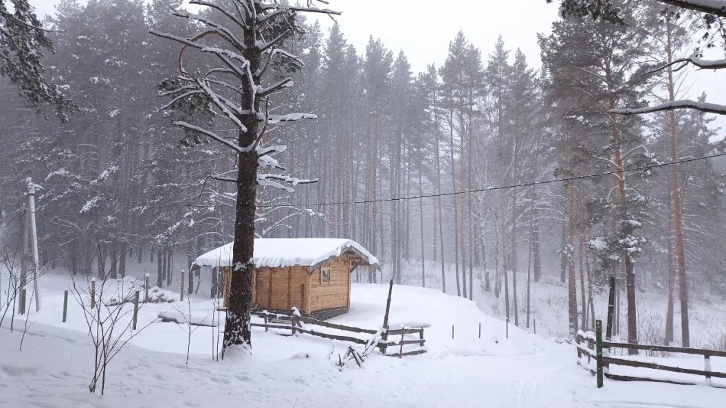    ФОТО: Царьград