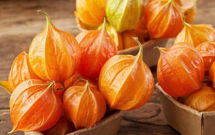    Фото:сгенерировано редакцией «Хабинфо» с помощью ИИ