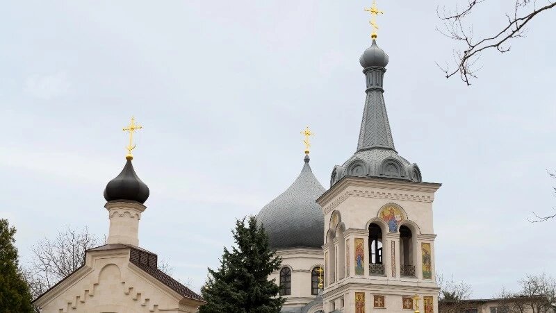      Фото: @freepik / ru.freepik.com