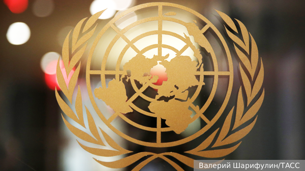     Фото: Валерий Шарифулин/ТАСС   
 Текст: Катерина Туманова