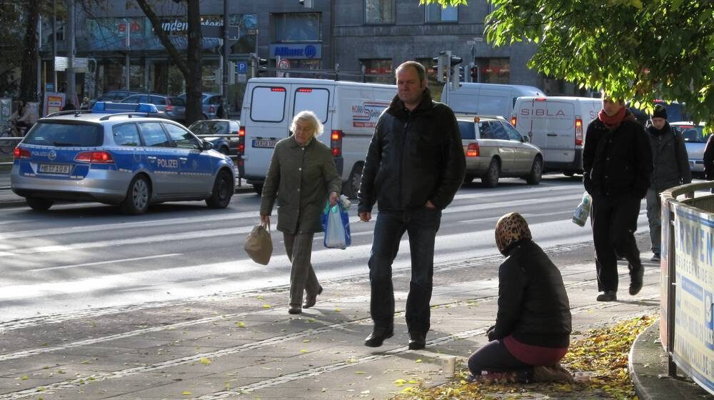    Фото: "Брянские новости"