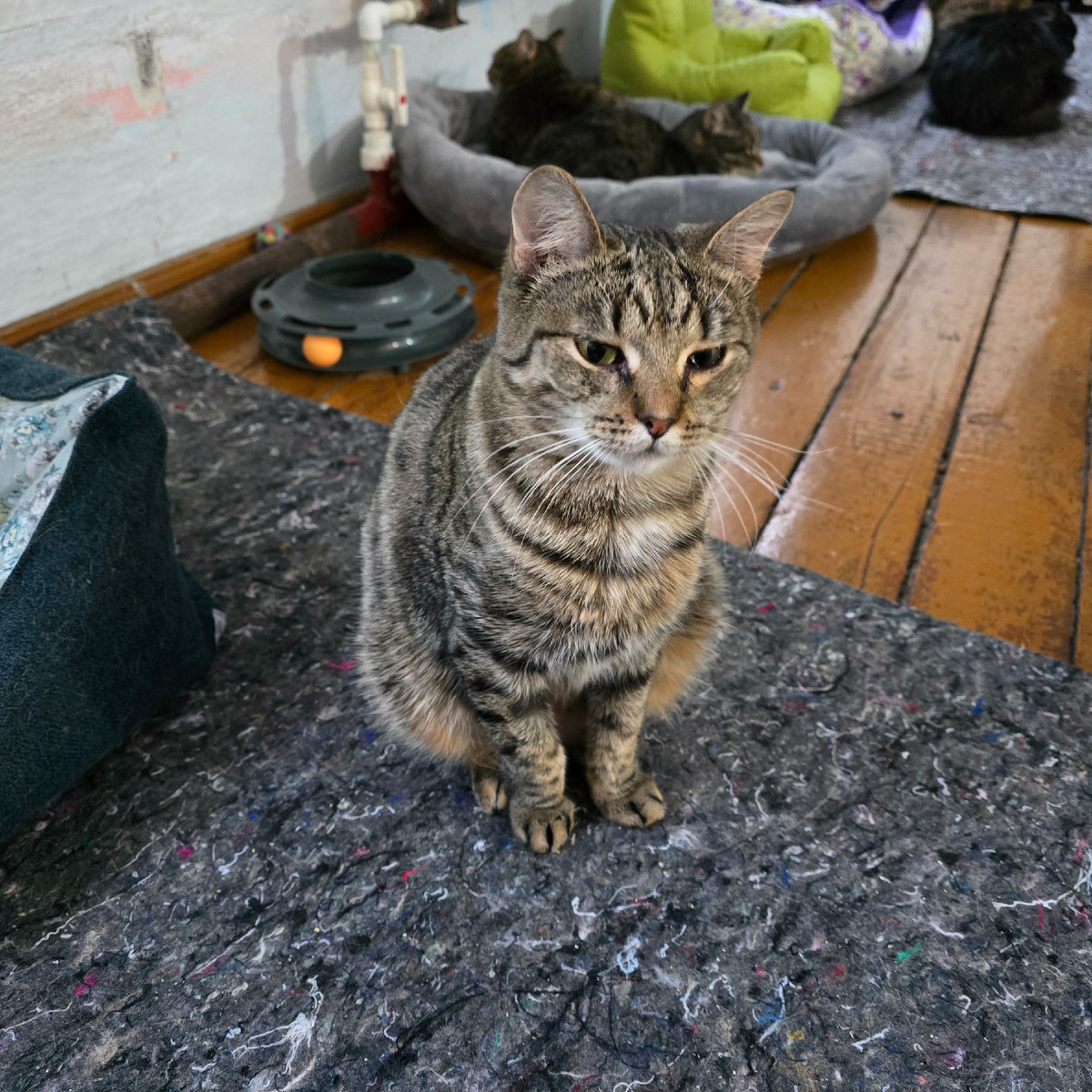 взгляд полный достоинства несмотря на боль