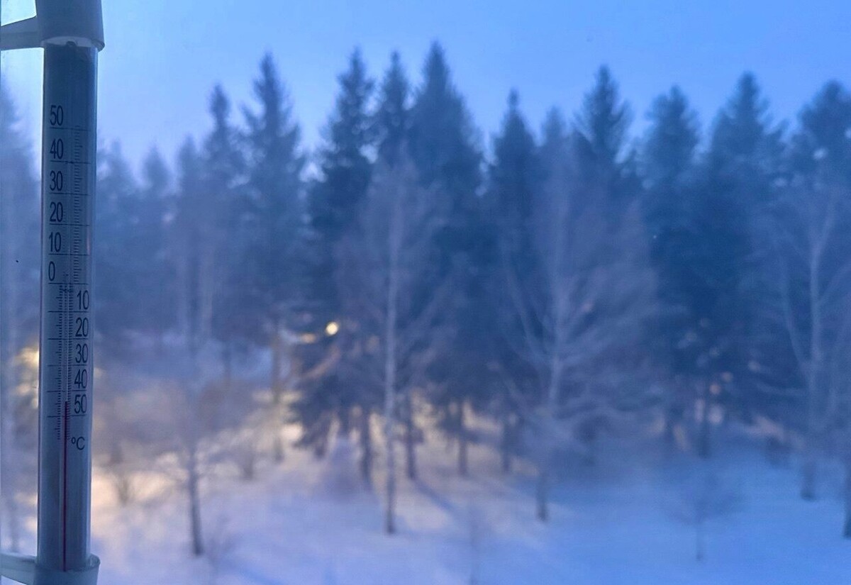  Утром термометр в Ботаническом показывал -45 prmira.ru