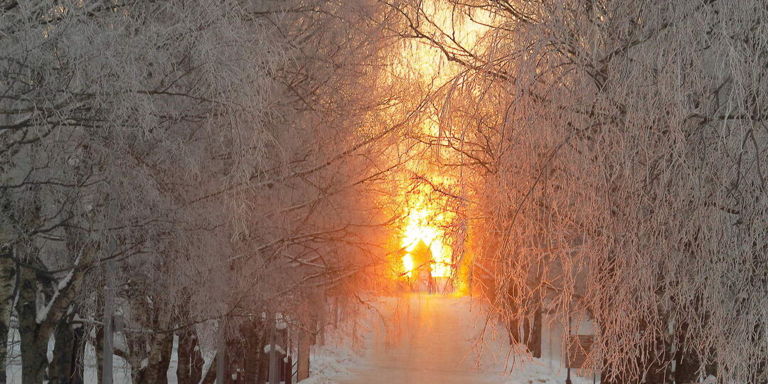 А. Зараев про сложное начало февраля