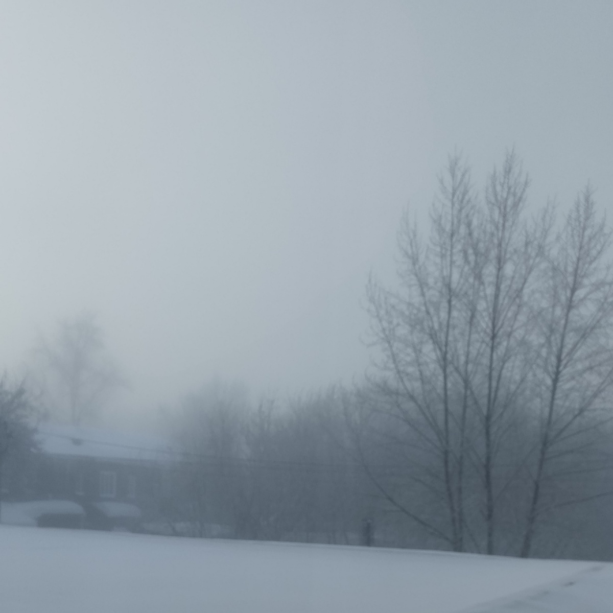 Вы видите дом? А он там есть!