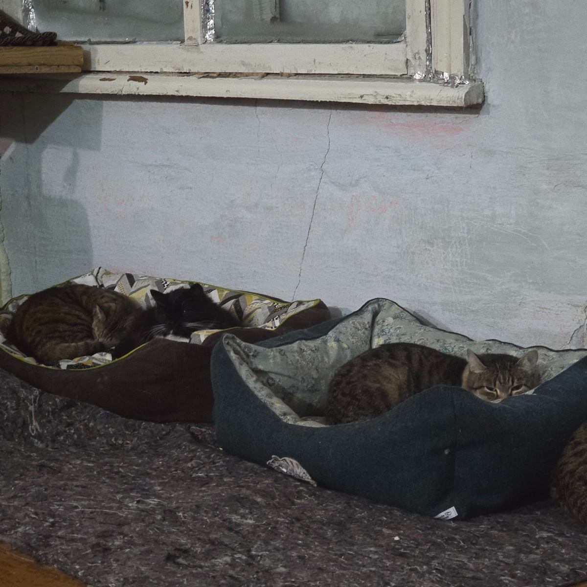 тёмные углы где прячется отчаяние