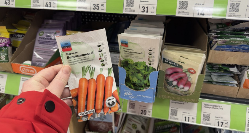    Фото prochepetsk