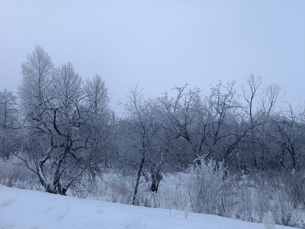 Вечером -25, утром -15, всë в инее