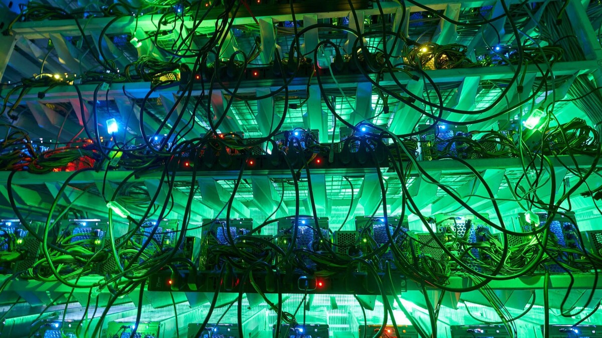    Фото: Artie Medvedev/Shutterstock/Fotodom