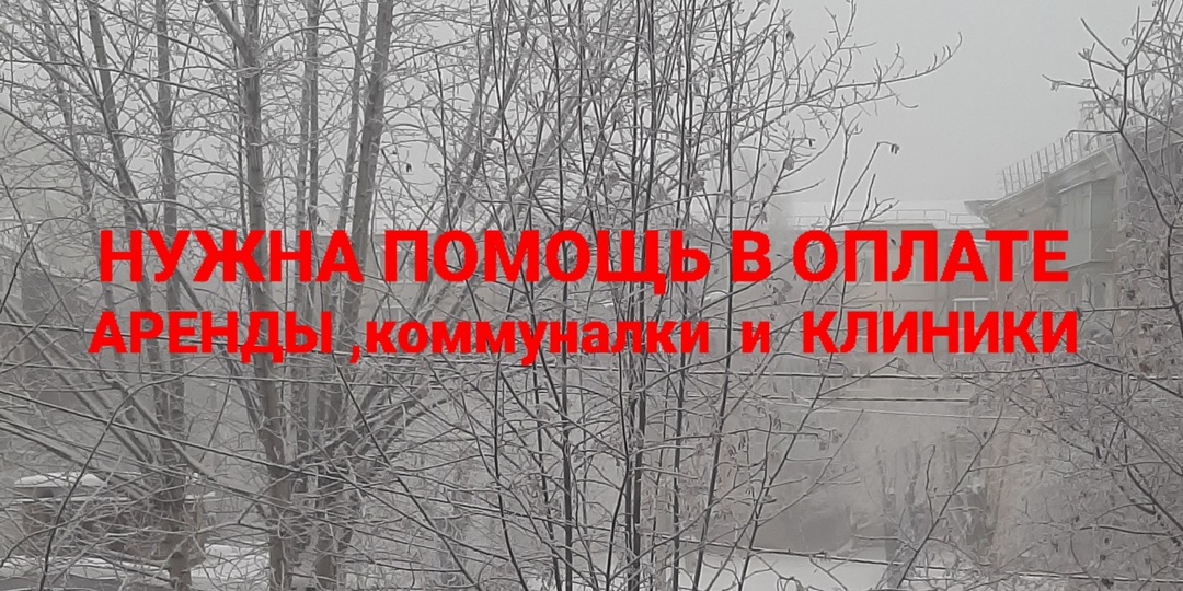 -41° За окном, а на счетах минус больше. Нужна помощь в оплате аренды и клиники.