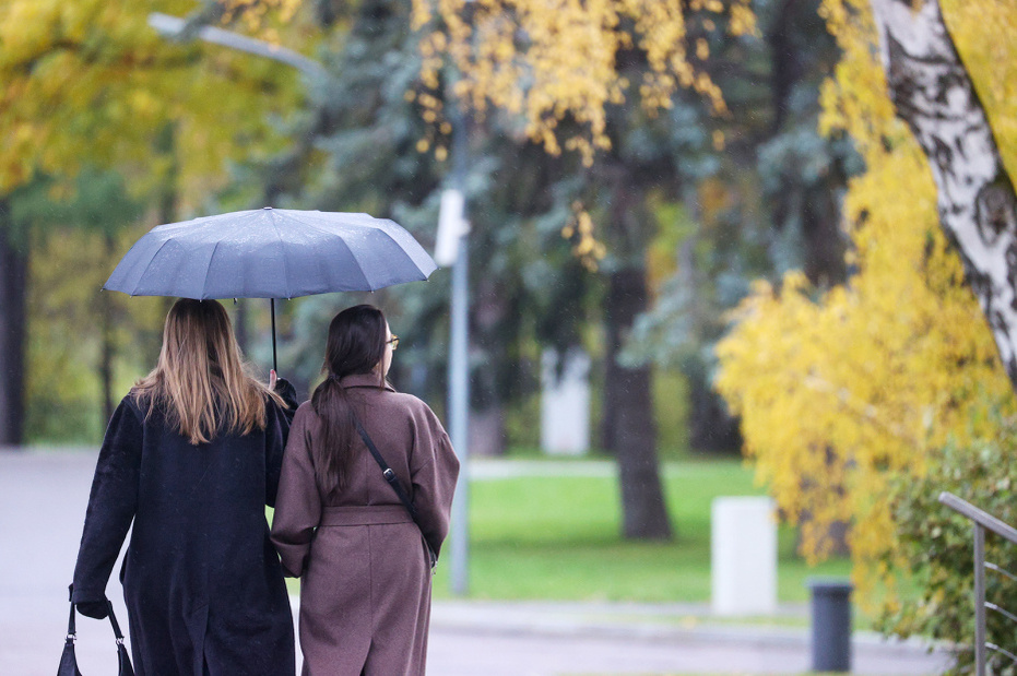    Сергей Булкин/NEWS.ru