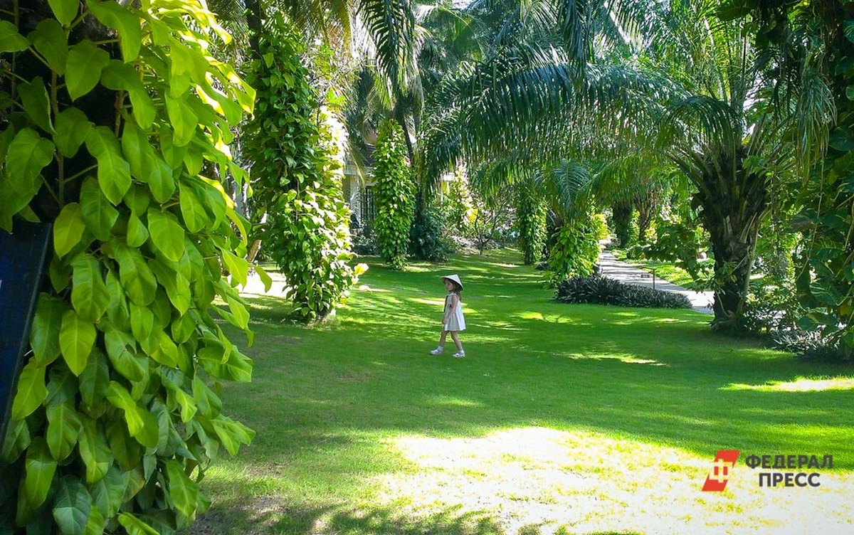 Новое направление для отдыха открывается для дальневосточников.  Фото: Фото: ФедералПресс / Дарья Сеймовская