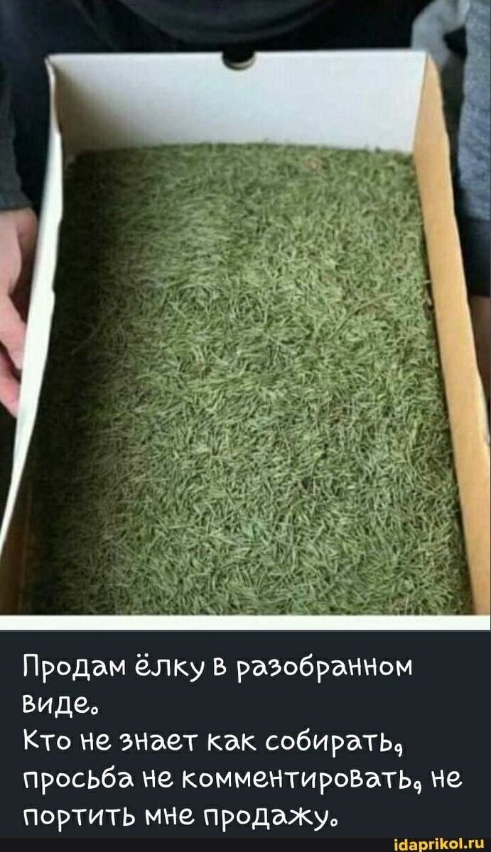 Фото для повышения настроения. Интернет