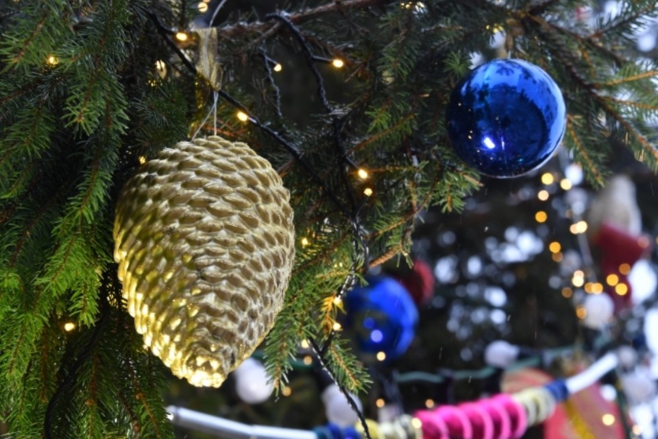    Всего 37 детей из детских домов провели каникулы в приемных семьях. Владимир ВЕЛЕНГУРИН