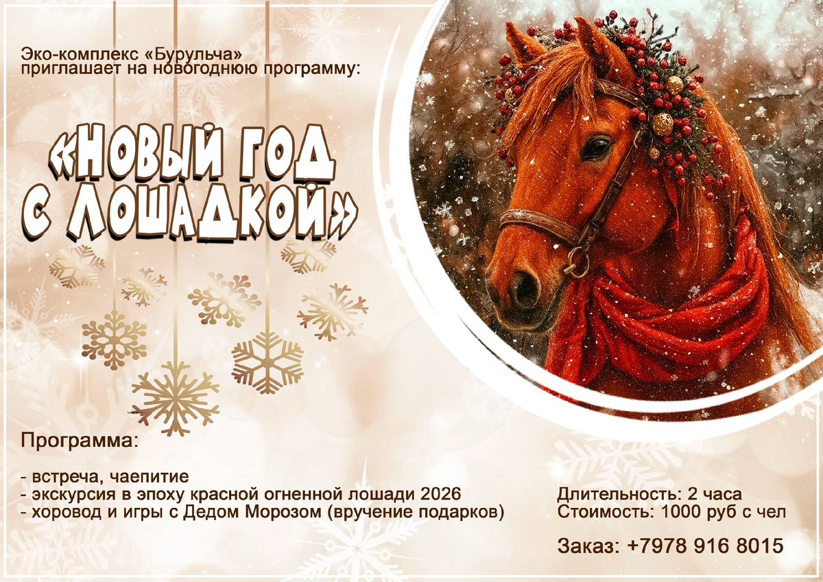 В Новый 2026 год с лошадкой