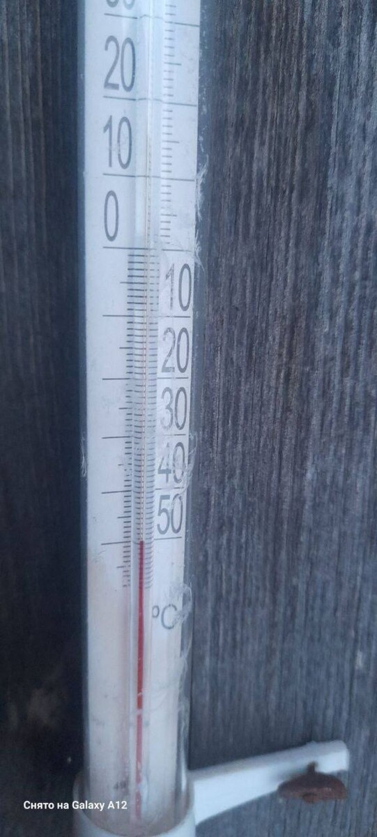    Тальменка. Источник: t.me/vkurse22