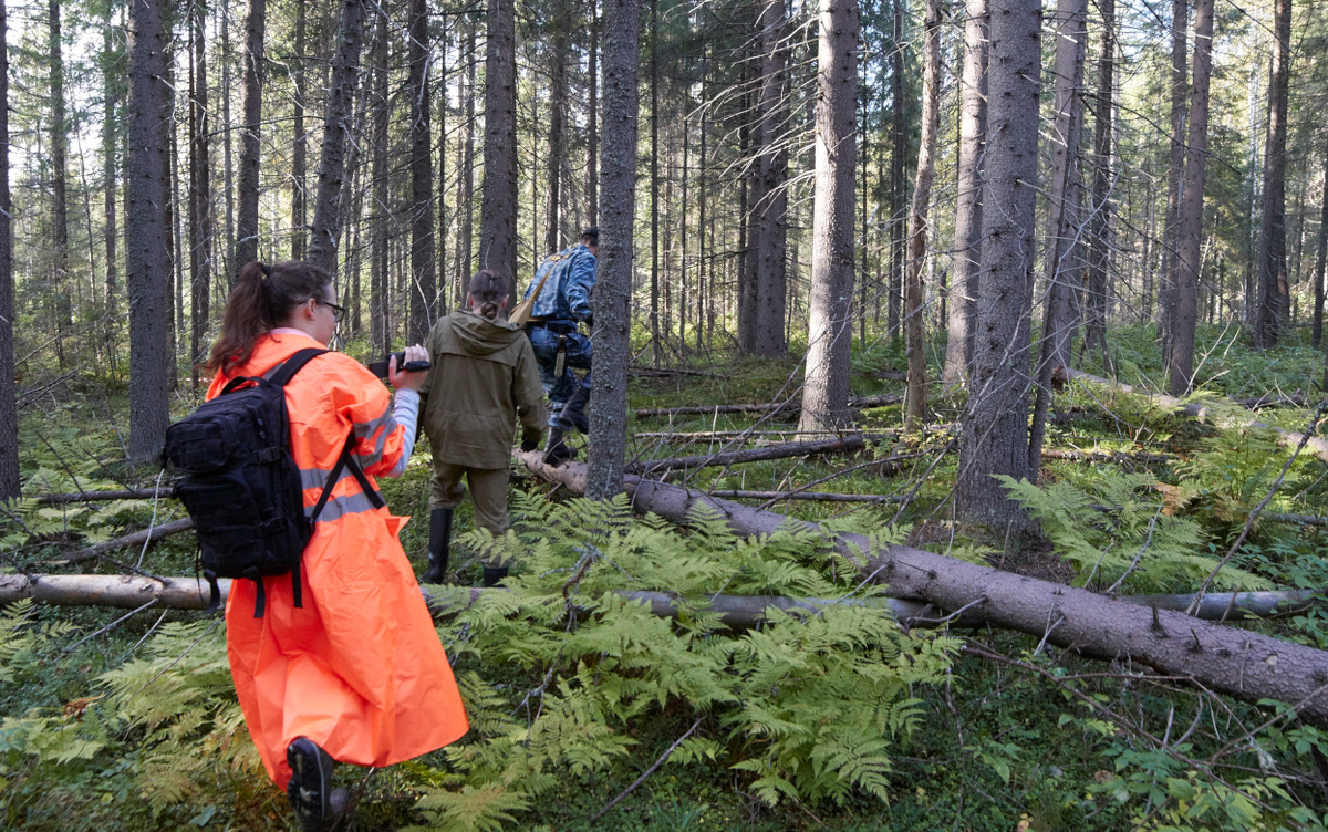    Более 200 человек заблудились в лесах Удмуртии в 2025 году