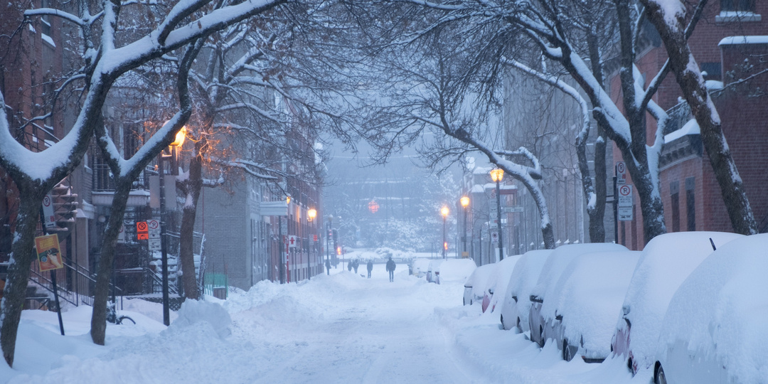 Снежная мишура