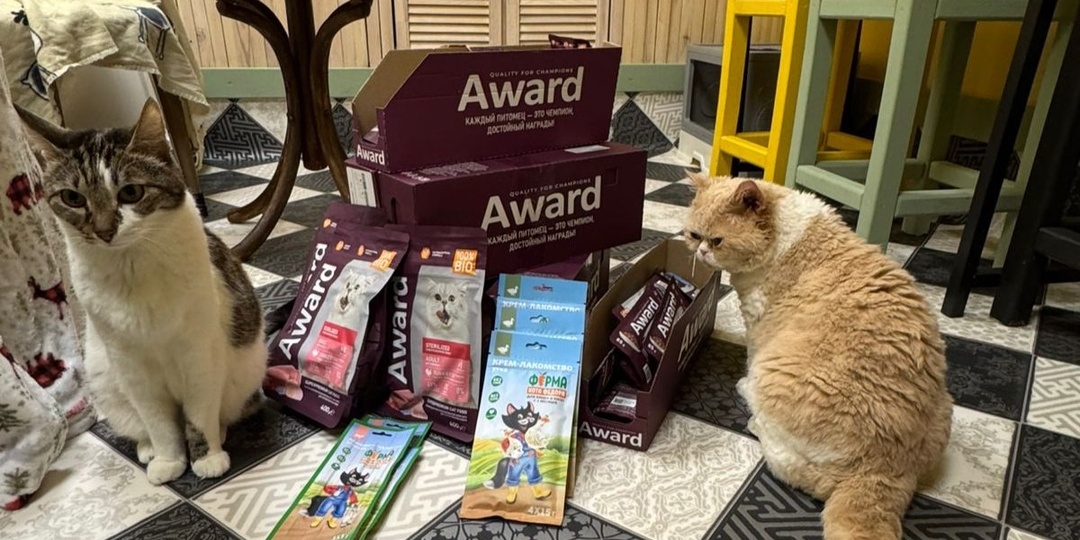 Иногда нам кажется, что мы где-то в душе хомяки или кроты