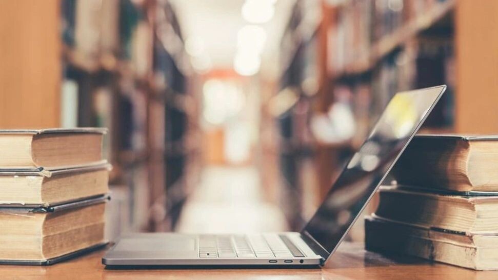    Фото: hinnapong/Shutterstock/Fotodom