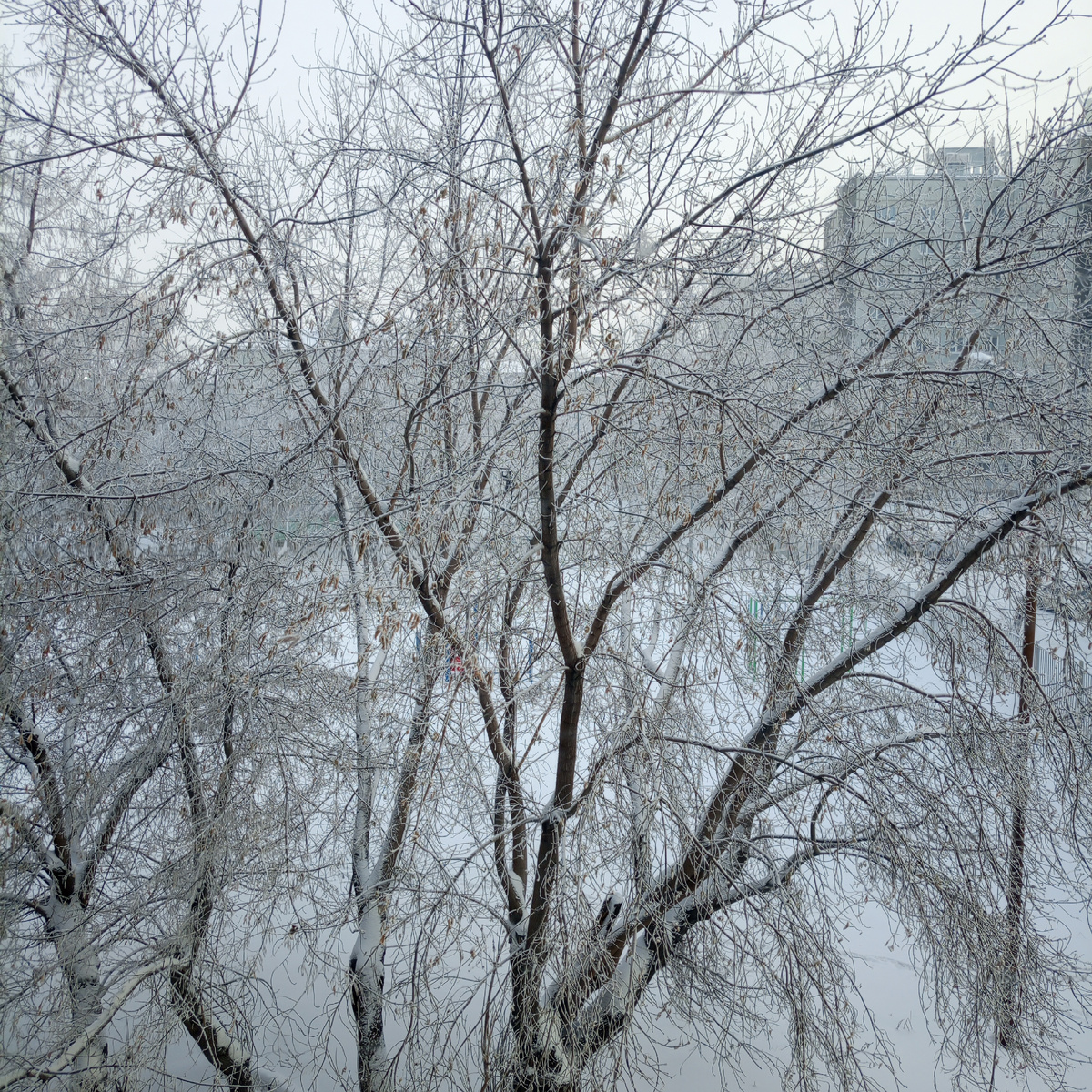 Вид из окна