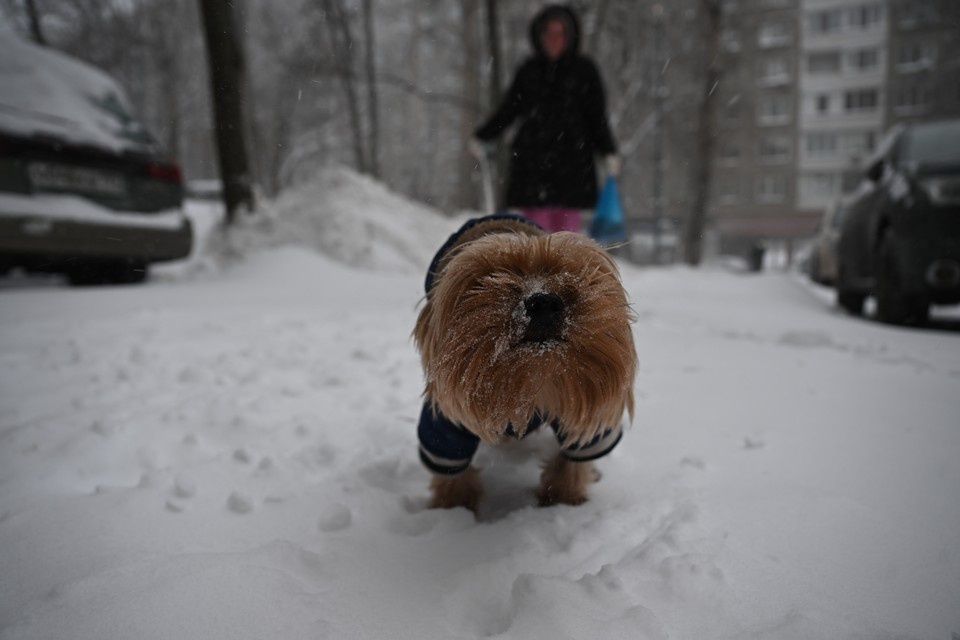    Переменная облачность и до -12 градусов ожидаются в Москве 17 января Иван МАКЕЕВ