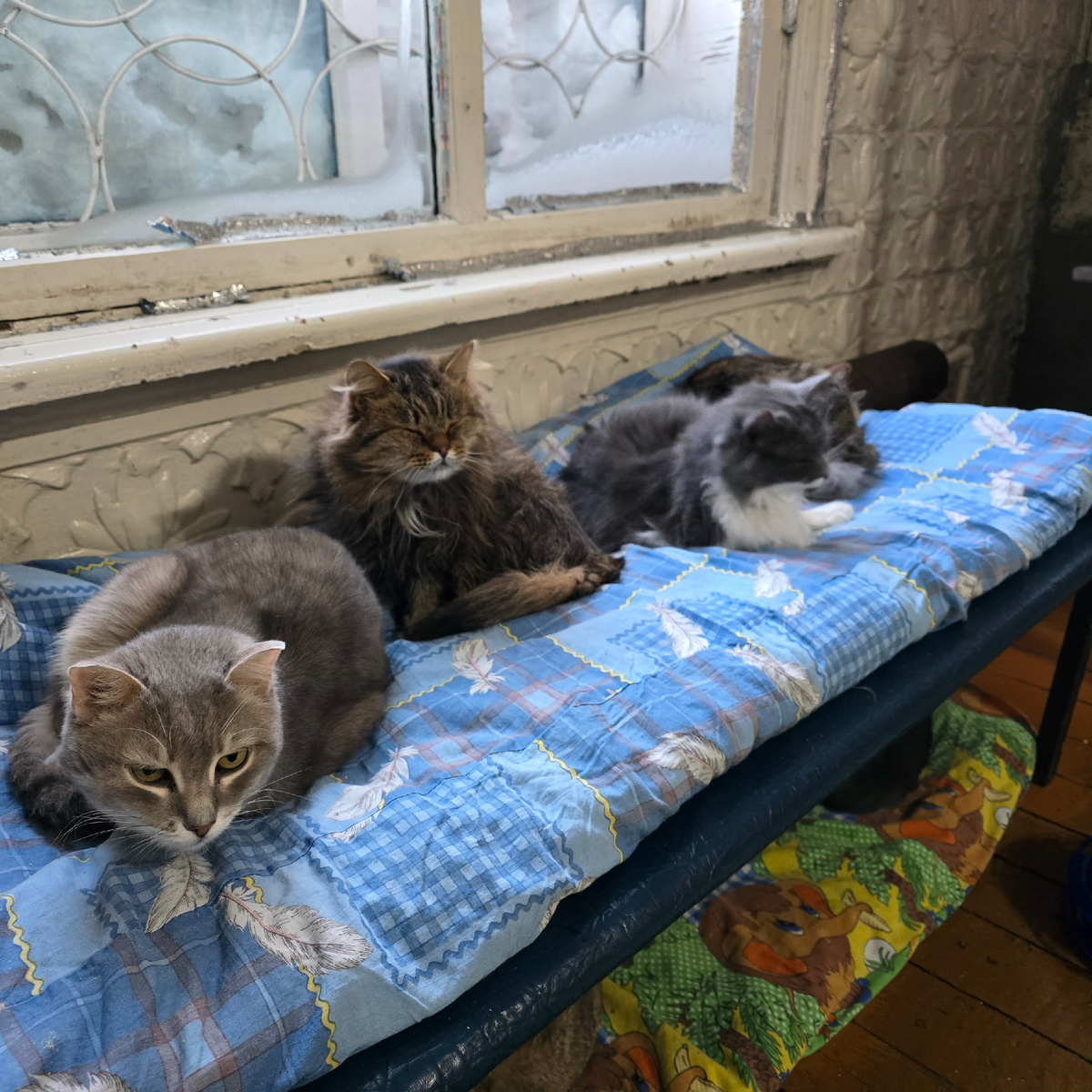 Мы лежим вместе, но каждый одинок