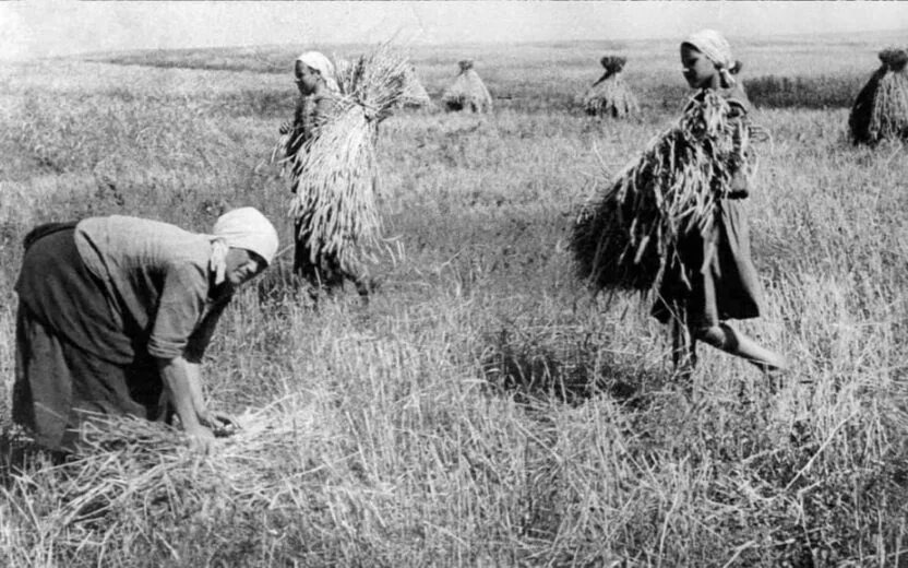 Взято из открытых источников интернета Яндекс.