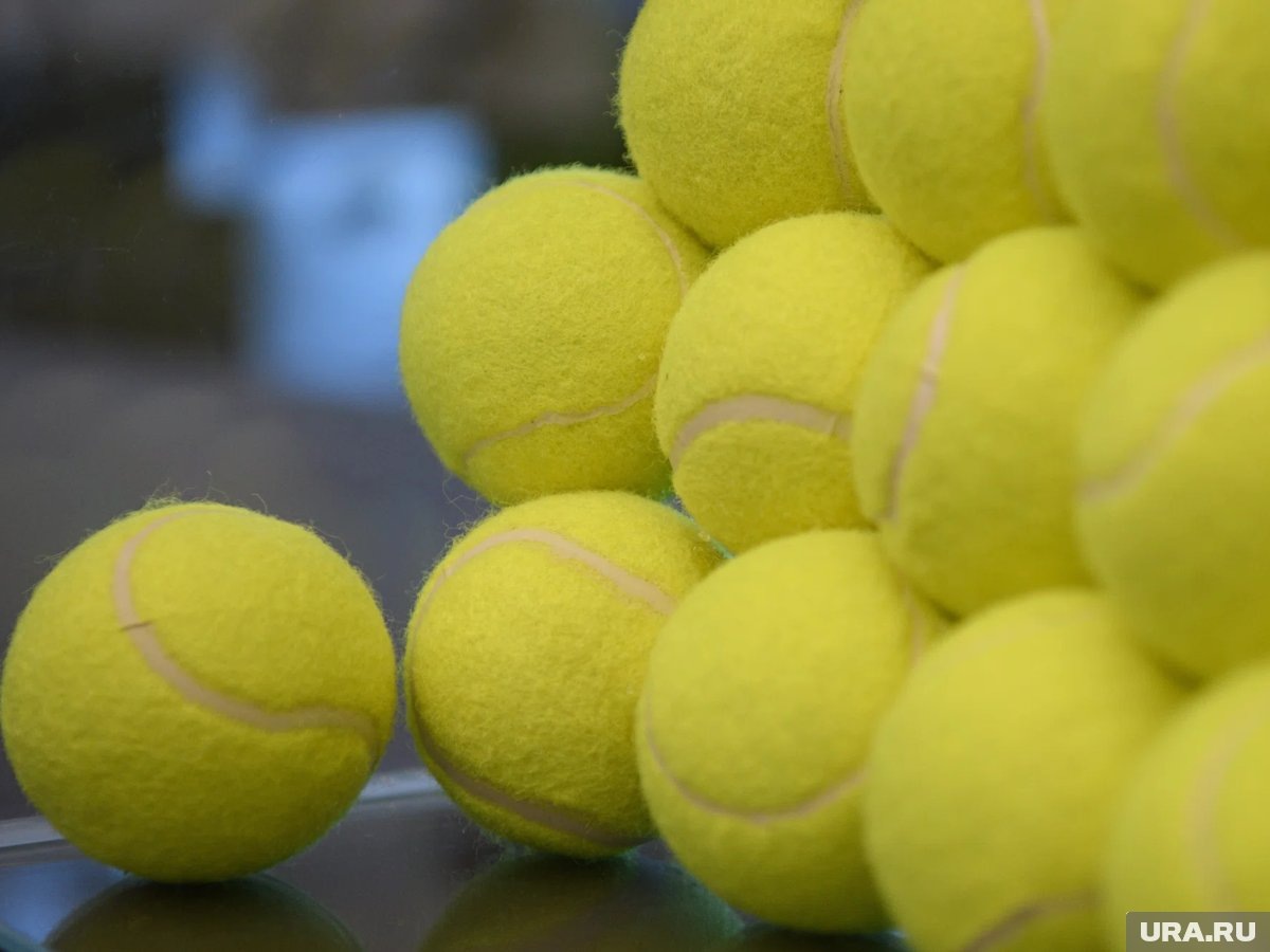     Касаткина занимает 48 место в мировом рейтинге