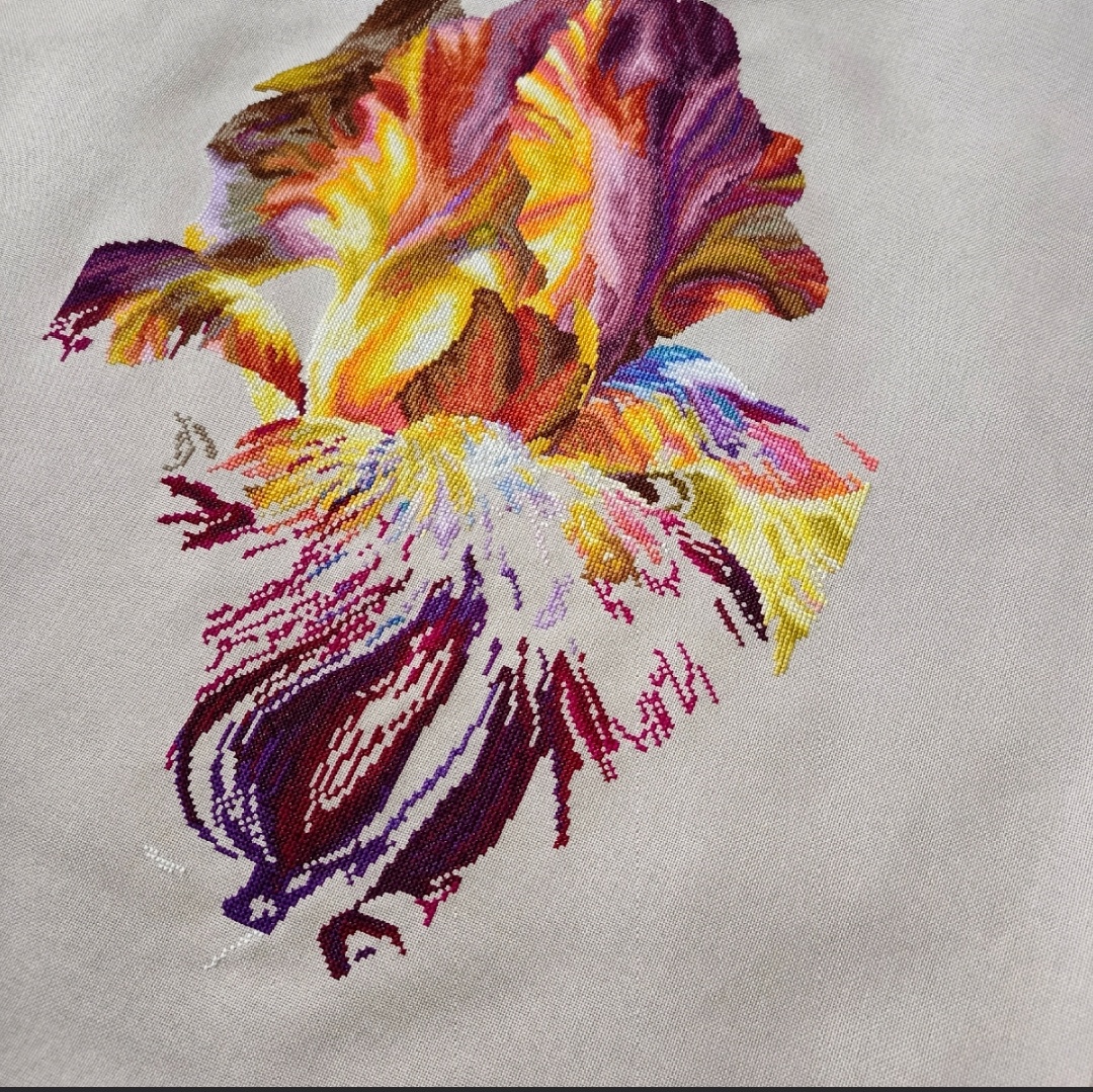 Так ирис выглядел в прошлый раз. Во всей красе 😍