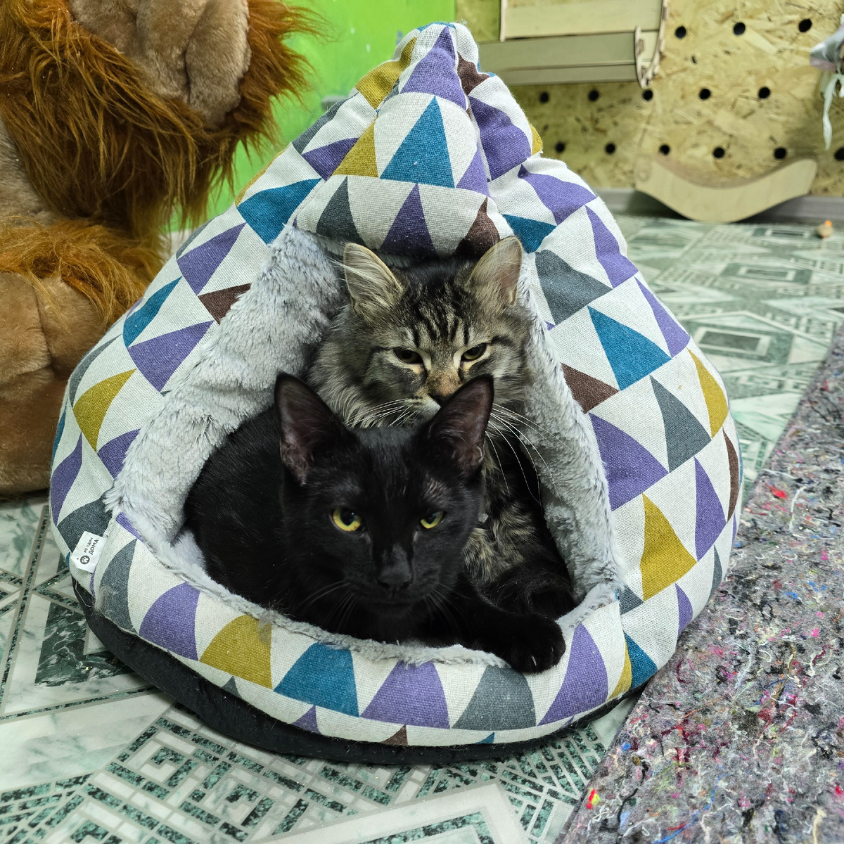 крепкие объятия против холода