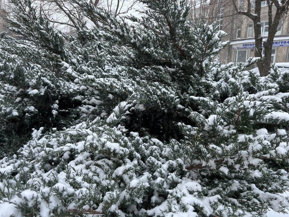    Днём ожидается -12°С Валерия РАЗИНА