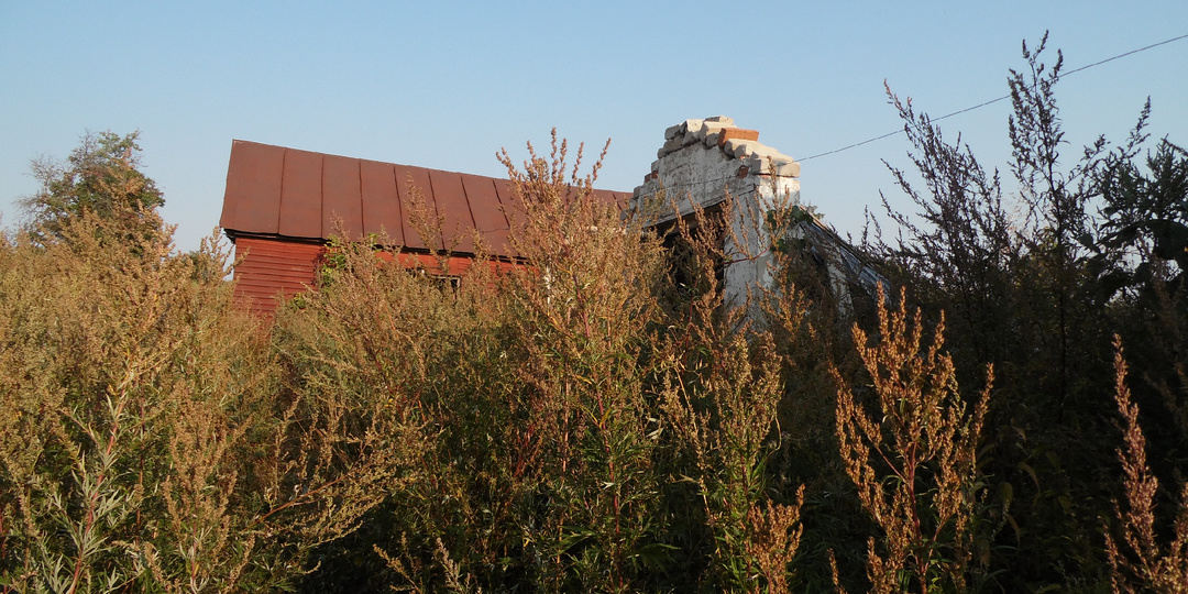 Клубничная история у каждого своя