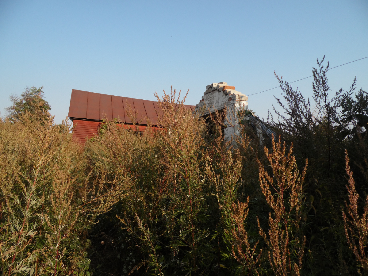 Вот так выглядело все, когда был куплен участок.