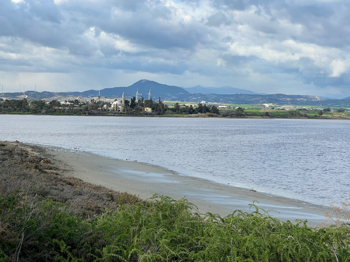 Соленое озеро, Ларнака. Фото н