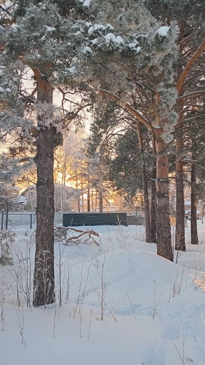 Ловя зимнее солнце