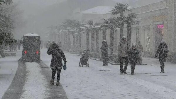    © Telegram-канал главы администрации Ялты Янины Павленко