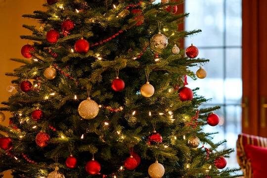    Оставленная в подъезде после Нового года ёлка может обернуться крупным штрафом