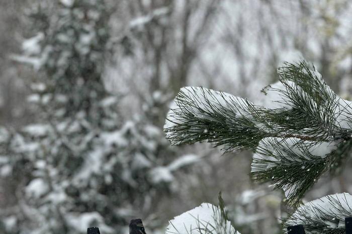 Обложка © Life.ru