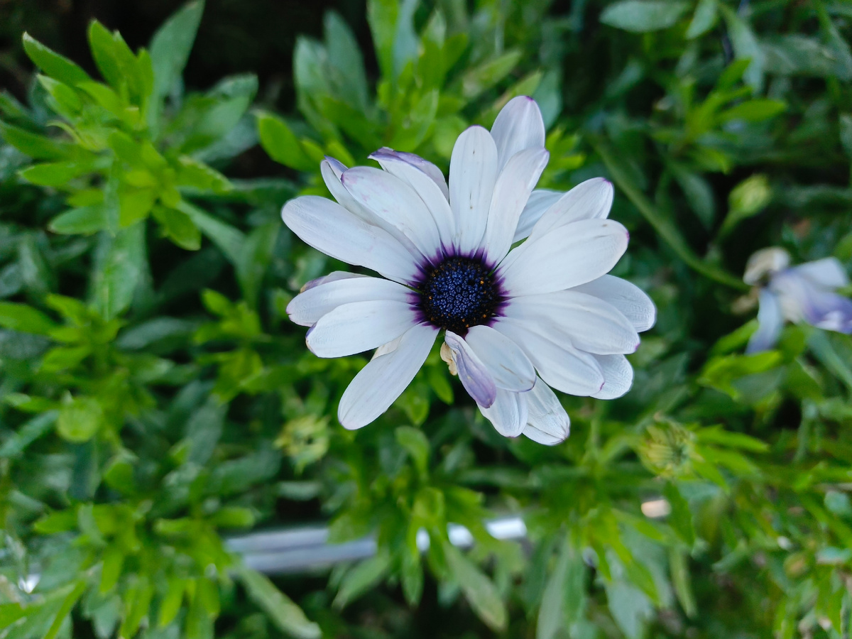 Адлер, один из редких солнечных дней января 2026 года