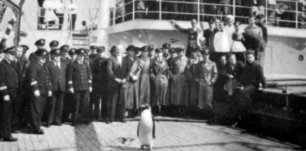 Экспедиция третьего рейха в Антарктиде