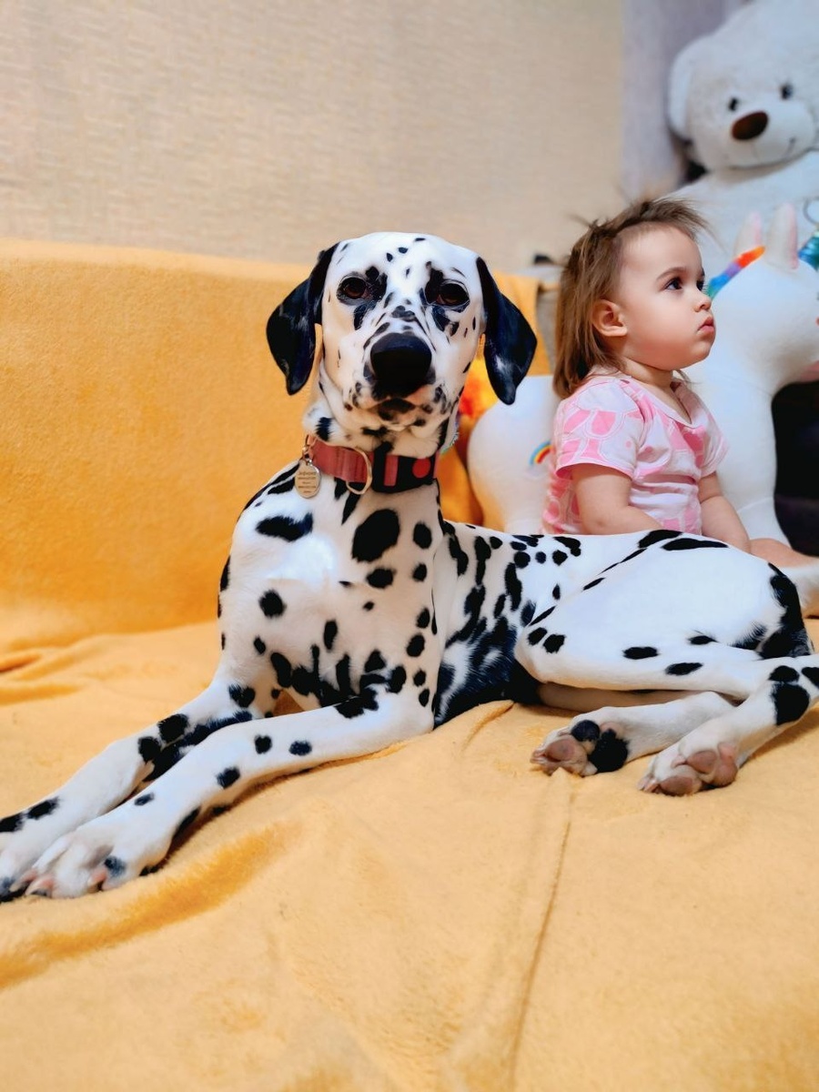 Настоящее пятнистое чудо!